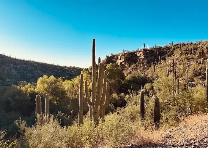 Walk To Sabino Canyon Trails, 4bd With Hot Tub * Tucson
