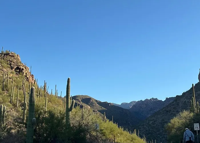 Walk To Sabino Canyon Trails, 4bd With Hot Tub Holiday home