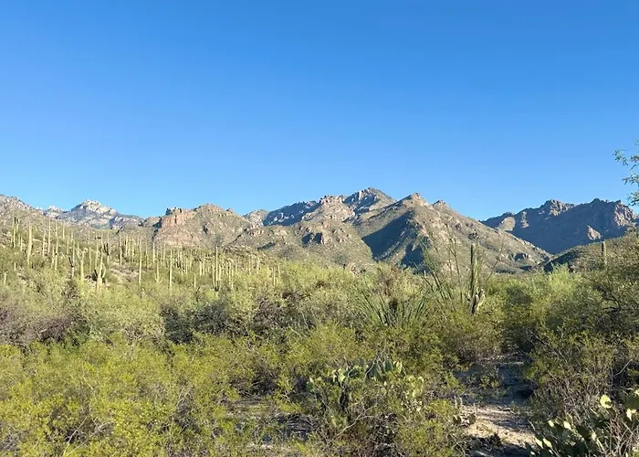 Walk To Sabino Canyon Trails, 4bd With Hot Tub Holiday home