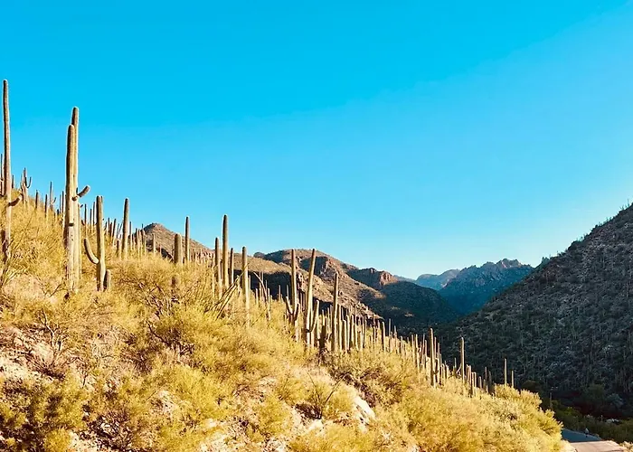 Walk To Sabino Canyon Trails, 4bd With Hot Tub
